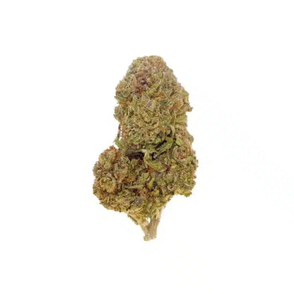 Candy Kush – Indoor