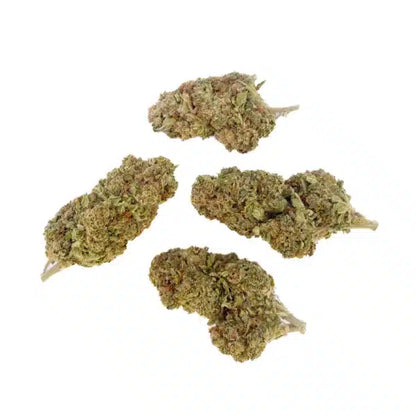 Candy Kush – Indoor